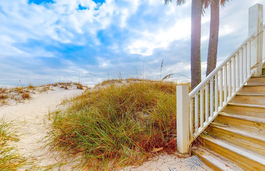 Sea Oats-1
